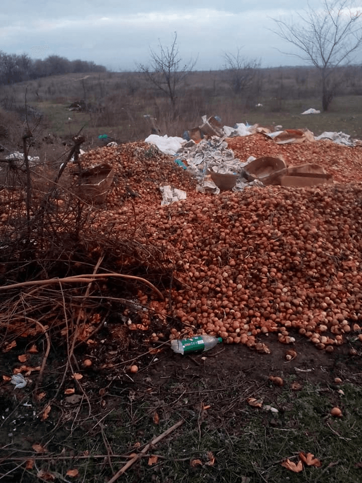 Природа или бизнес: в Запорожской области берег реки засыпали гнилым луком