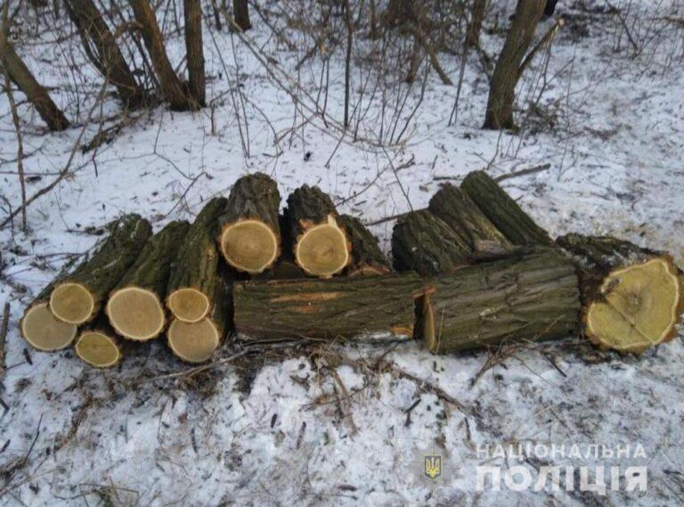 В Запорожье полиция обнаружила незаконную вырубку деревьев