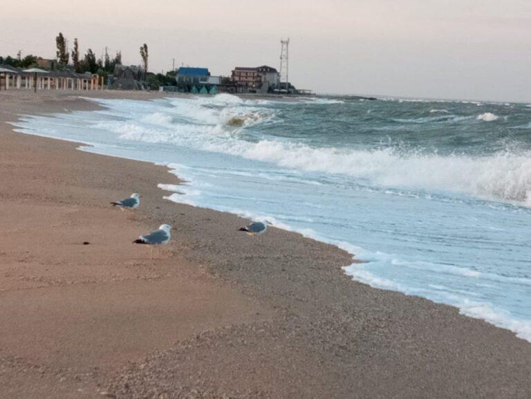 В Бердянске на побережье Азовского моря штормовая погода, – видео