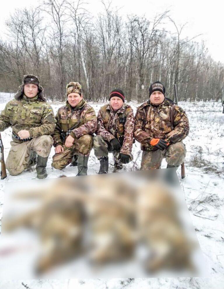 В Запорожской области охотники застрелили стаю волков, – фото
