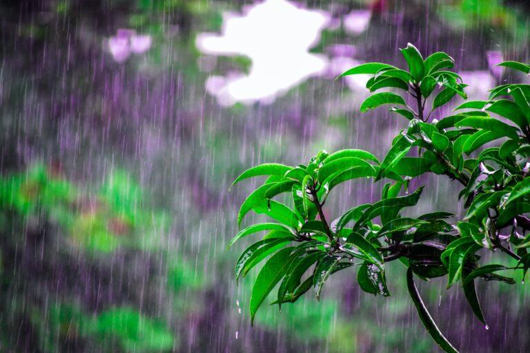 Синоптики прогнозируют дождь в Запорожье во второй половине дня