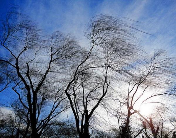 Порывы ветра и туман: синоптики прогнозируют непогоду в Запорожье