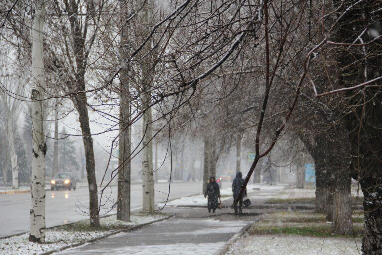 Мокрый снег с дождём в Запорожье: синоптики прогнозируют небольшое потепление