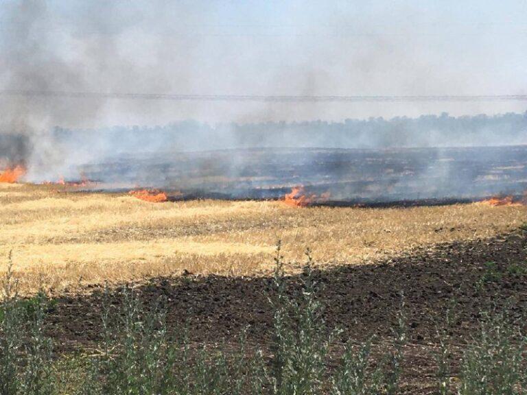 Оккупанты обстреляли населенные пункты Запорожской области: горят поля