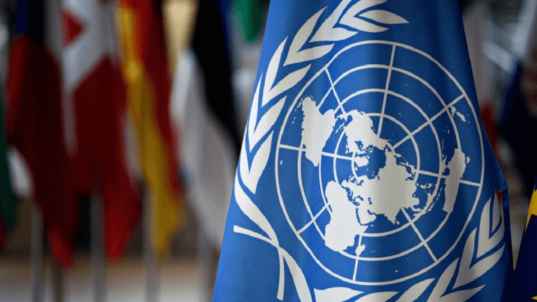 Миссию ООН обстреляли в Запорожской области
