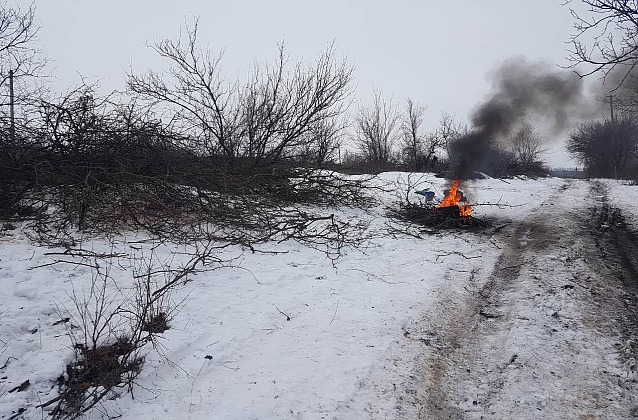 бешеный волк напал на троих человек