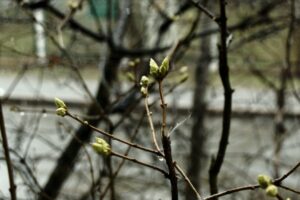 Запорожские синоптики сделали прогноз погоды на февраль