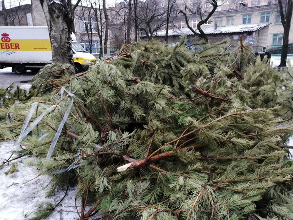 v-zaporozhe-utiliziruyut-i-pererabatyvayut-elki-v-chipu-foto