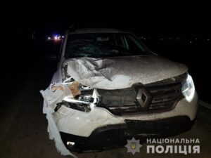 На запорожской трассе сбили 43-летнюю женщину: полиция ищет свидетелей