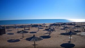 В Кирилловке в феврале запечатлели летние пейзажи