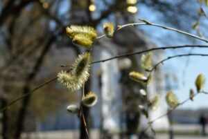 В Запорожье похолодание и сильный ветер
