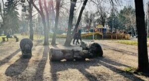 Директор “Дубовой рощи” прокомментировал ЧП, после которого погибла 10-летняя девочка