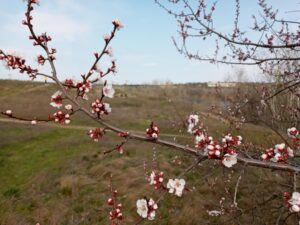 В Запорожье ожидается ощутимое похолодание