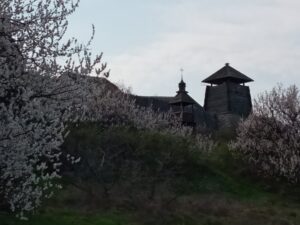 “Запорожская Сечь” и “Музей судоходства” возобновили свою работу после карантина 