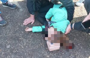В Запорожском парке скульптура придавила ребенка – видео