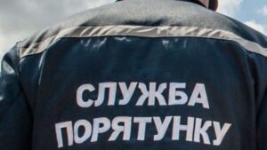 Запорожские спасатели помогли мужчине спуститься с высокого дерева 