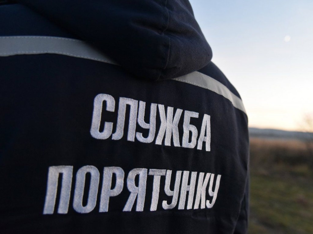 В Запорожской области потушили лесной пожар