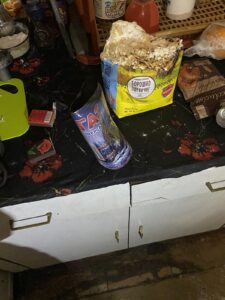 В Запорожье в девятиэтажном доме взорвался баллончик с газом: пострадал 35-летний мужчина