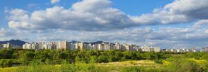 Сегодня погода на 21 мая в Запорожской области будет теплая, но облачная