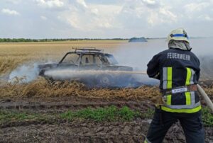 В Запорожской области на поле сгорел легковой автомобиль, – фото 