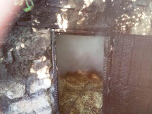 В Запорожской области из-за крупного пожара в частном секторе погибли 14 поросят 