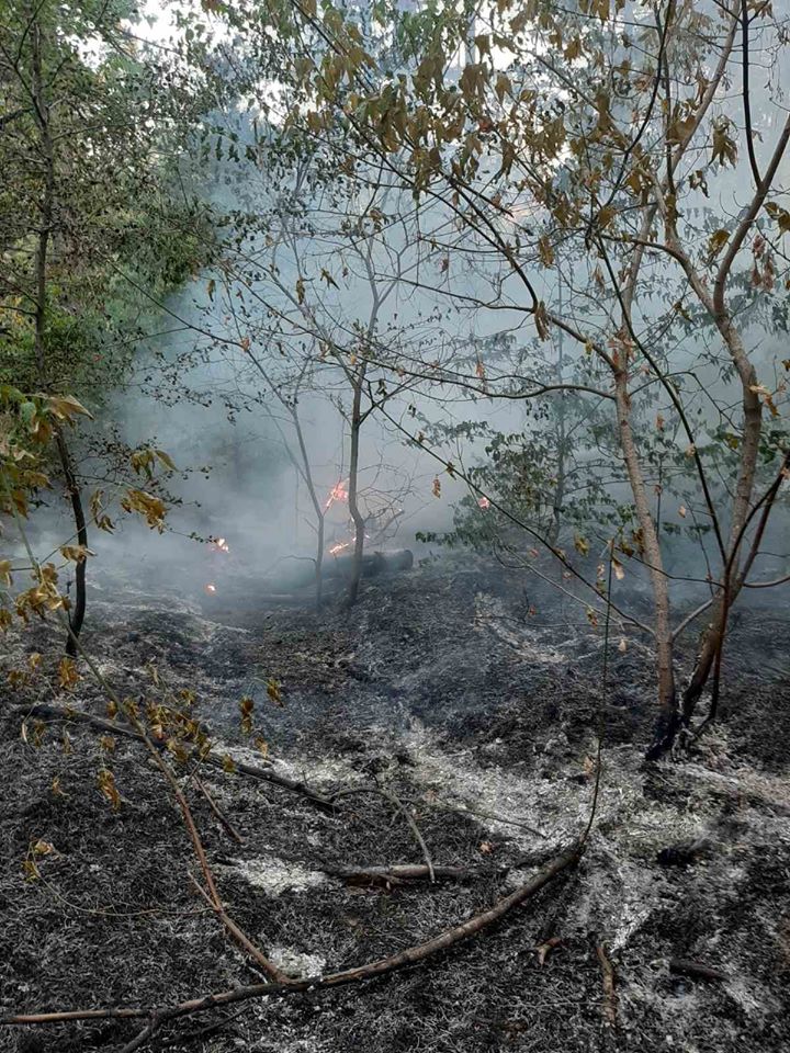 Na ostrove Khortitsa busheval pozhar