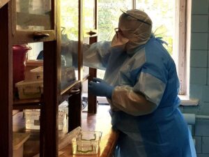 В Бердянске провели первое ПЦР-тестирование на COVID-19
