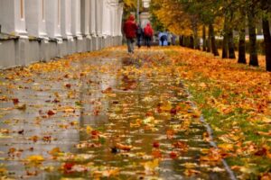 В Запорожье ухудшение погодных условий 