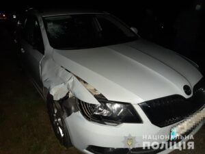 В Запорожской области насмерть сбили пешехода: полиция ищет свидетелей