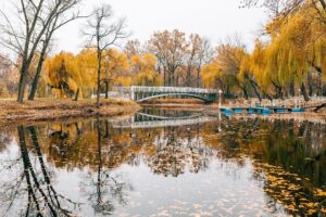 В Запорожье в суд передали дело экс-директора “Дубовой рощи”