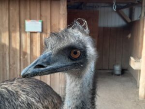Запорожский оазис «AQUAZOO»: место, где живут звезды соцсетей