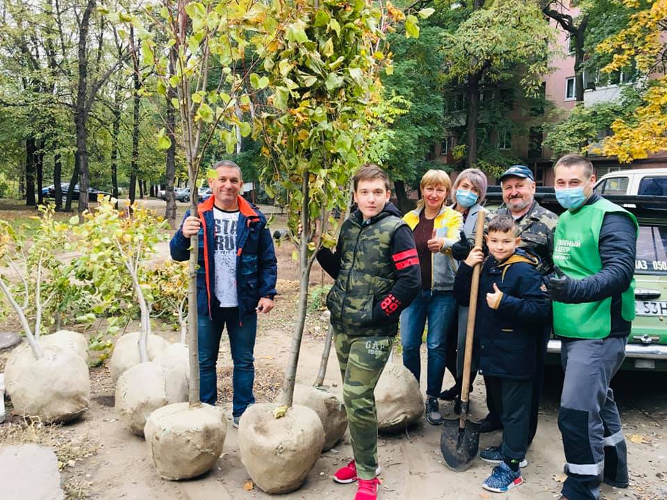 зеленое Запорожье высадка лип