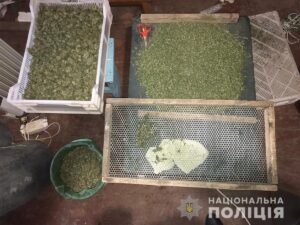 В Пологах задержали наркоторговца