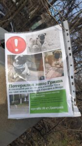 Запорожцы просят помощи в поисках домашнего любимца