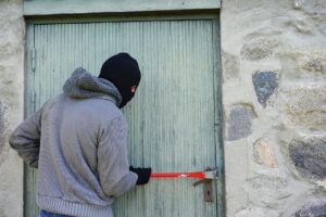 В Запорожской области назначили наказание серийному вору