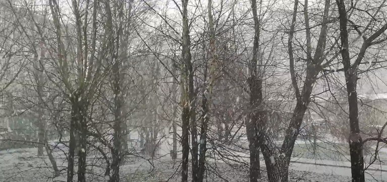 Снегопад в Запорожье: город накрыло сильными осадками, - ВИДЕО