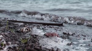 Запорожскому чиновнику вручили подозрение о загрязнении экологии производственными отходами