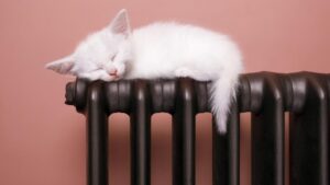 В Запорожье 7 апреля заканчивается отопительный сезон
