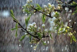 Без парасольки краще не виходити: погода у Запоріжжі на сьогодні