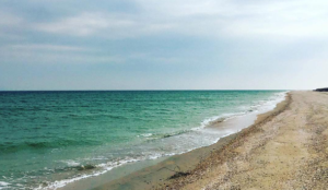 На Запорожье оккупанты планируют массовый вылов медуз в Азовском море