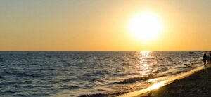 Экосистему в Азовском море планируют улучшить к 2025 году: что это значит