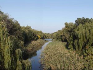 У річці Мокра Московка у Запоріжжі знайшли тіло чоловіка