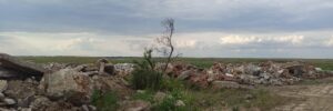 В сети показали, в каком сейчас состоянии Обиточная Коса: ФОТО