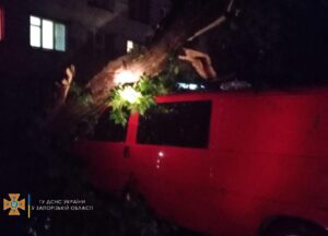 Двое человек погибли от удара током в Бердянске  – ГСЧС