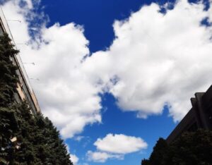 У повітрі Запоріжжя зафіксували перевищення озону