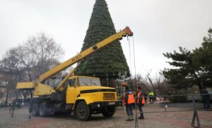 В Запорожье установили главную городскую елку