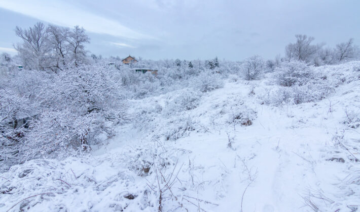 На Хортице браконьеры охотятся на животных (ФОТО)
