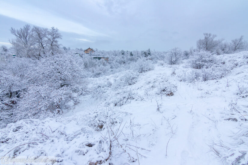 На Хортице браконьеры охотятся на животных (ФОТО)