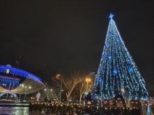 В Запорожье открыли главную елку в области (ФОТО)