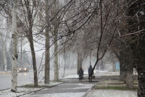 Запорожье засыпает снегом: побелели деревья и крыши зданий (ФОТО)